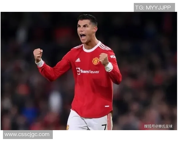 英超足球明星贴纸图片大集合让你尽享球场魅力与明星风采